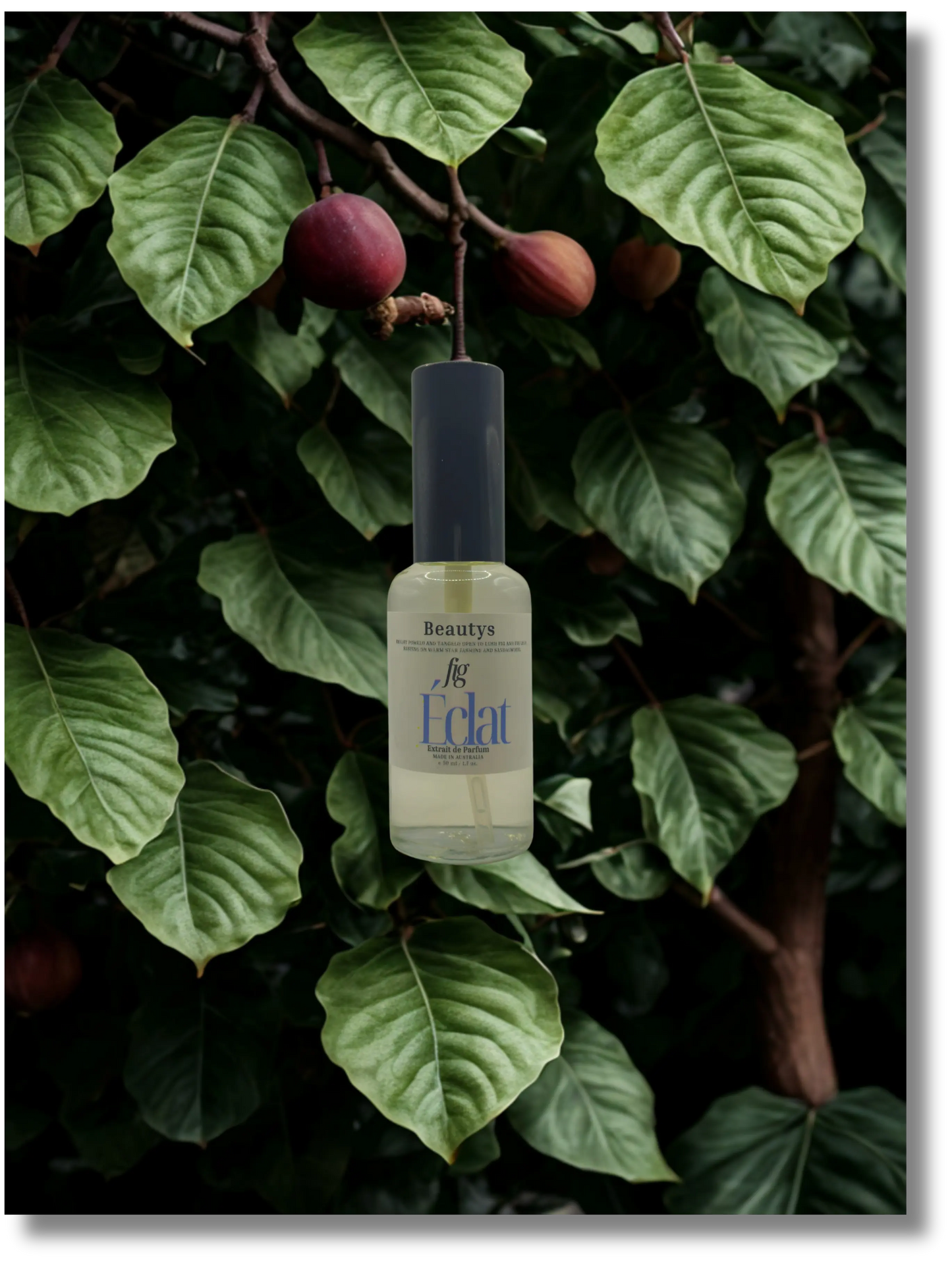 Fig Eclat by Beautys, a luxurious skincare product in elegant packaging, designed to enhance skin radiance and hydration.
