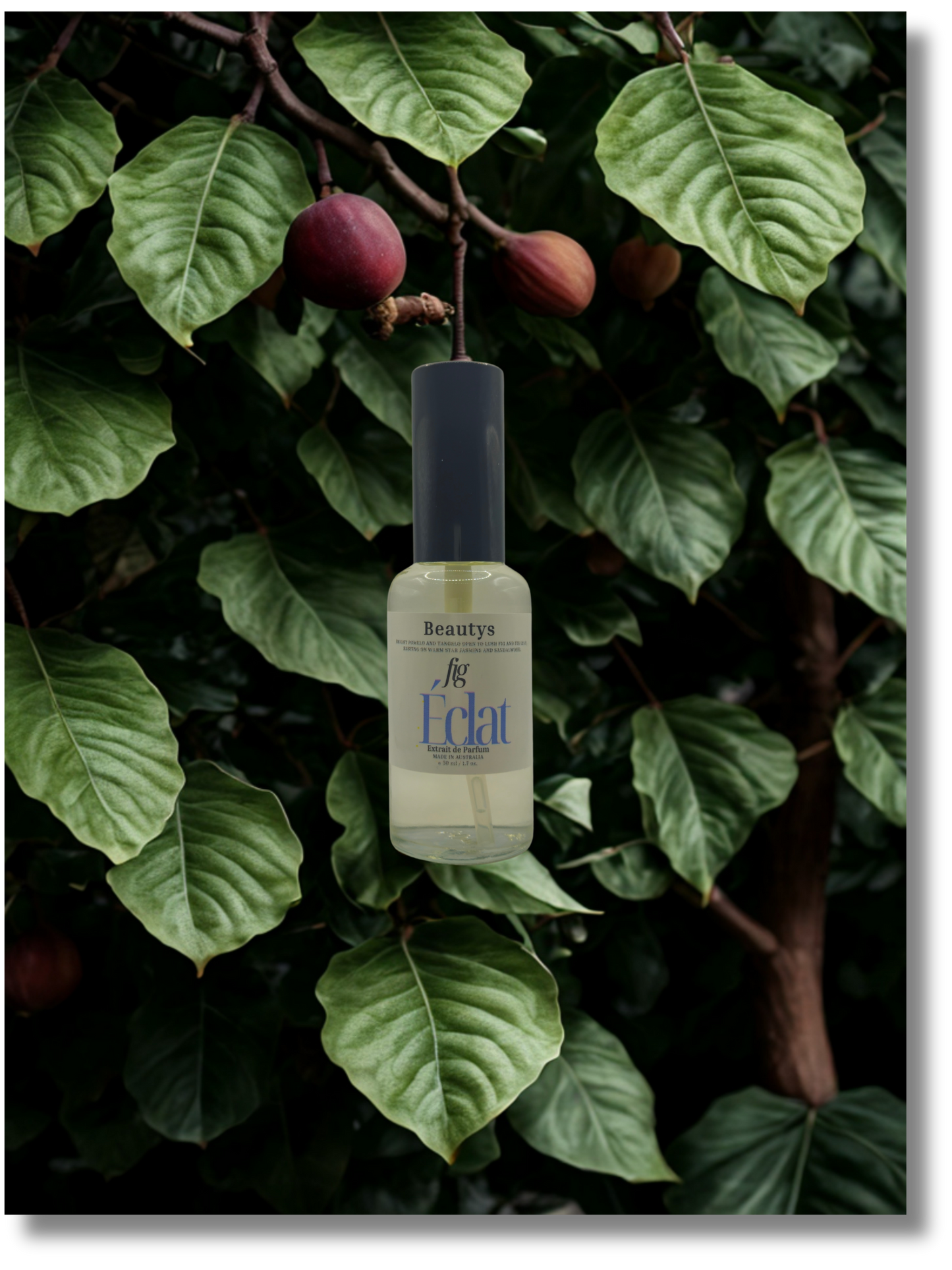 Fig Eclat fresh fig-inspired women’s fragrance Australia