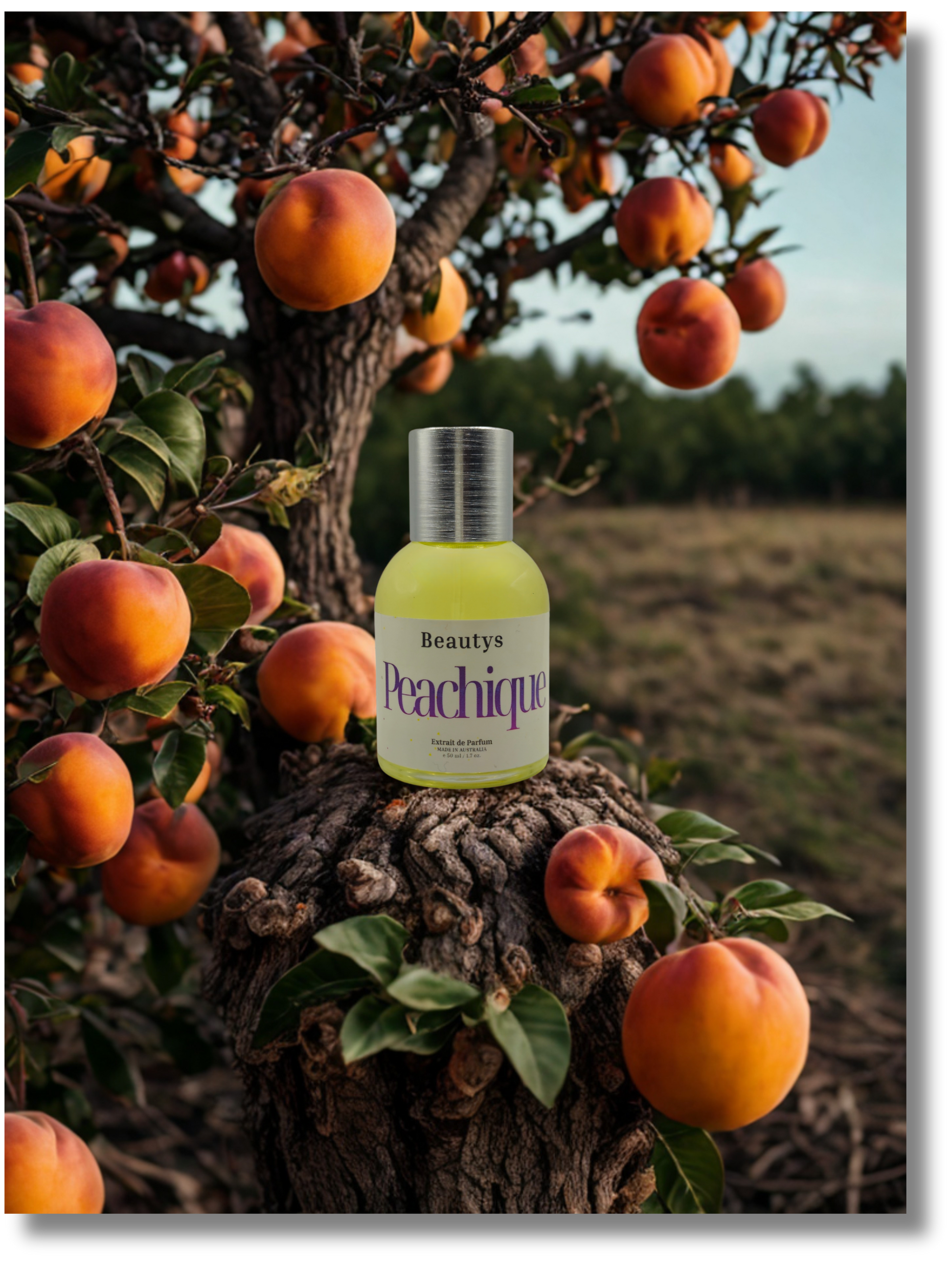 Vanilla caramel perfume blended with juicy peach fragrance